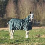 Autumnn Equestrian - photo 2