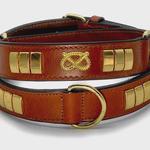 Autumnn Equestrian - photo 8