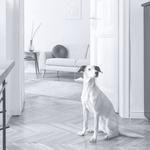 Best Handyman New Hampshire - photo 3