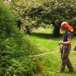 Eden Paysages - photo 3