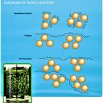 Ultimate Agri - photo 6