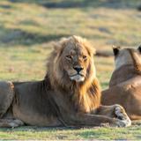 Unforgettable Adventures - Travel Agents in Dar es Salaam