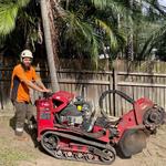 GDE Tree Services - photo 6