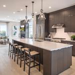 Crista Trovato Group - photo 5