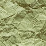 Ace Removal Services - photo 3