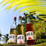 Aani Ek | Goa’s Best Alcohol - photo 8
