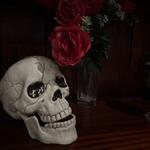 Escape Hunt Melbourne - photo 3