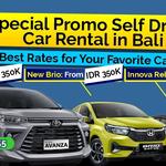 Bali Touristic - photo 1