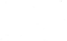 balajicargomovers - Movers & Removals