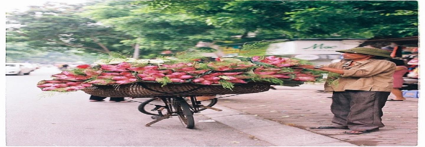 INSCENTIVE LLC cover photo