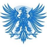 falcontourtravel - Travel Agents in New York