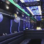 falcontourtravel - photo 1