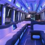 falcontourtravel - photo 2