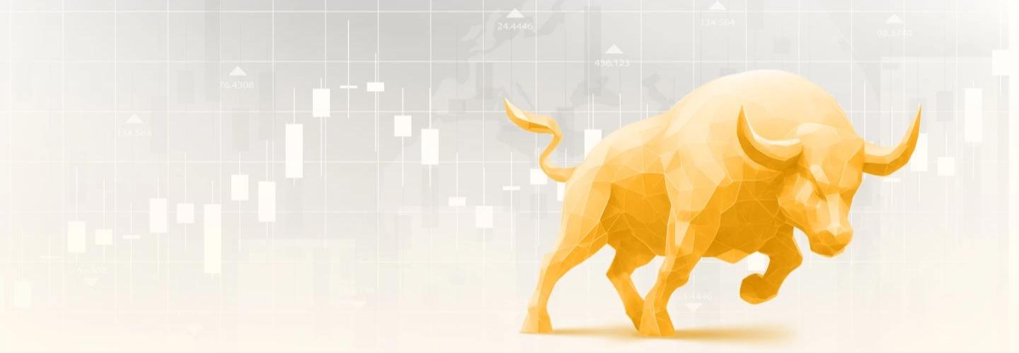 Digitide Solutions Limited cover photo