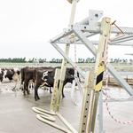 Veehof Dairy Services - photo 1