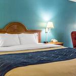 Quality Inn & Suites Circleville - photo 3
