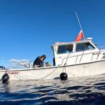 Explore Kauai Scuba - photo 3