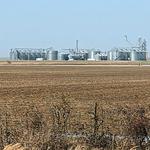 Deep Root Self Storage - photo 5