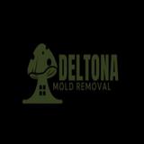 Deltona Mold Removal - Home Services in Deltona