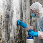 Deltona Mold Removal - photo 4
