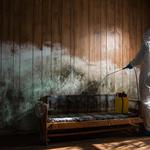 Deltona Mold Removal - photo 5