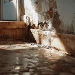 Deltona Mold Removal - photo 6
