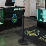 Seed of Life | Billings Lockwood Dispensary - photo 1