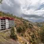 The Chail Resort - photo 2