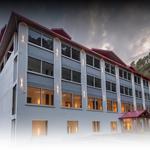 The Chail Resort - photo 6