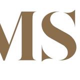 MSI Pittsburgh - Professional Services in Bridgeville