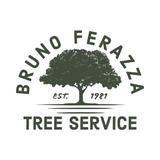 Bruno Ferazza Tree Service