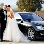 Airport Transportation Service Olympia, WA - photo 5