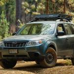 Tuned by Tim Cox - photo 2