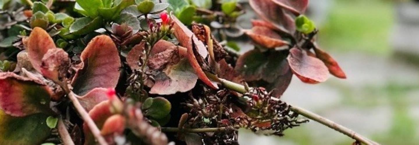 Heartfelt Life Solutions cover photo