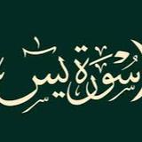 Surah Yaseen - Education in Tampa