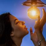 Big Bear Electric Pros - photo 3