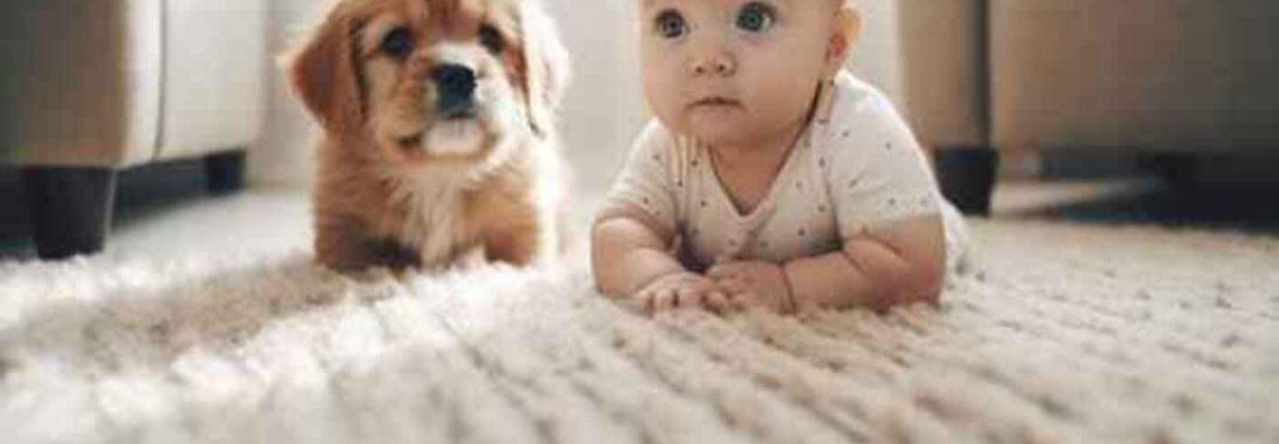 Advanced Cleaning Technologies cover photo