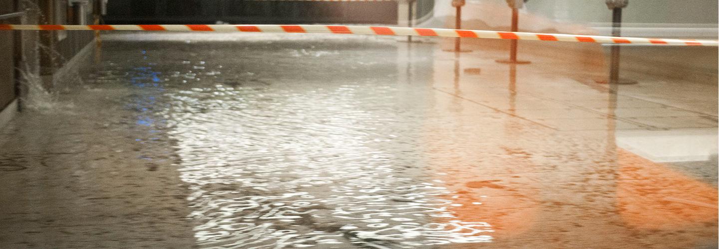 Coastline Environmental Solutions cover photo