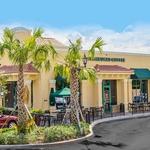 Vinicio Painting - photo 3