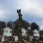 Lakeside Tree Care Ltd - photo 2