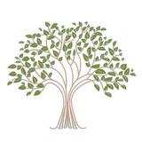 Wellspring Tree Care - Tree Services in Christiansburg