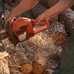 Wellspring Tree Care - photo 1