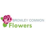 Bromley Common Flowers