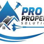 Pro Property Solutions - photo 1