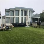 South Bay Painting - photo 4