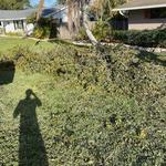 Pure Disposal - photo 4