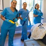 Family Cleaners Cleaning Services Connecticut - photo 10