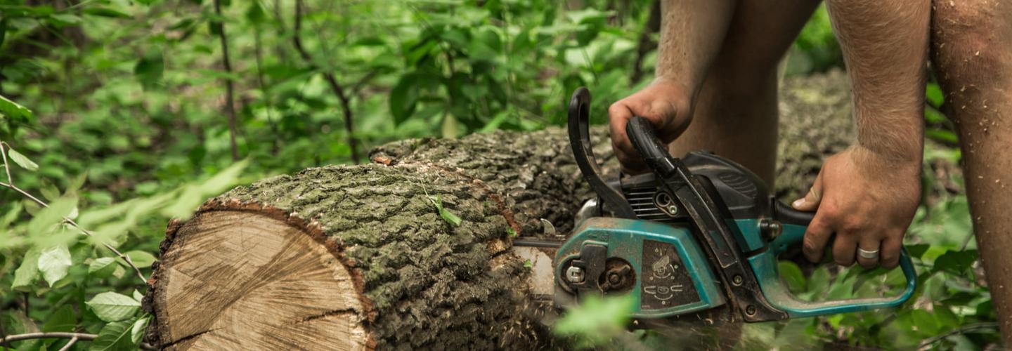 Texarkana Tree Service and Trimming cover photo