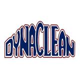 DynaClean Professional Services - Water Heater Installation/Repair in Temple
