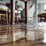 DynaClean Professional Services - photo 8